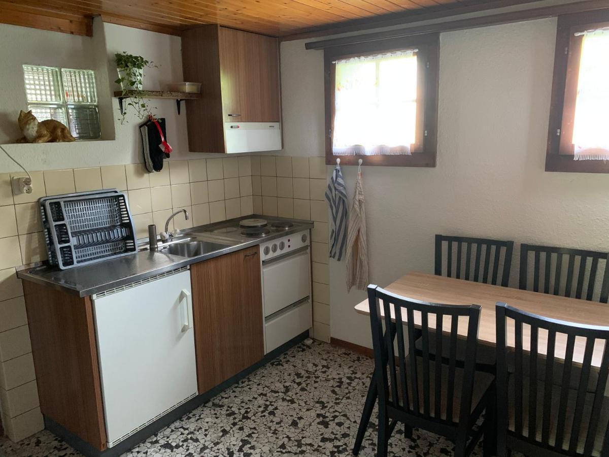 Naturnahe Wohnung Fur 1 - 4 Personen Бриенц Екстериор снимка
